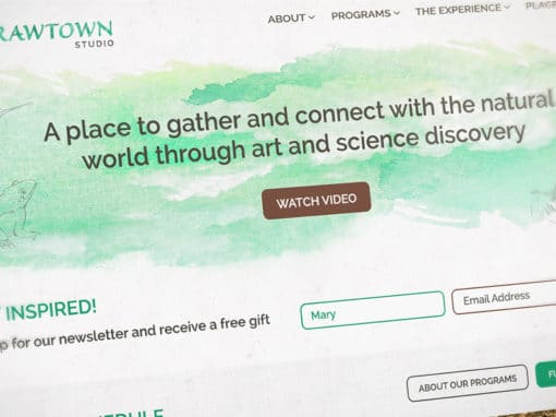 Strawtown Studio